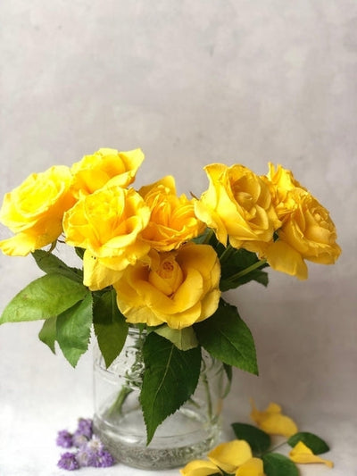 How to make ugly roses look beautiful?