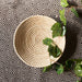 Assorted Plain Beige Sabai Baskets Combo-Sabai baskets-House of Ekam