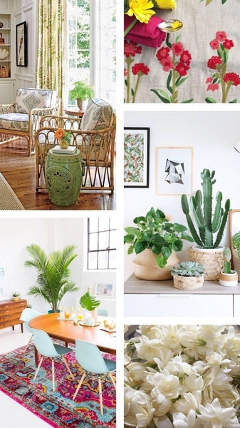Back to nature: Bringing outdoors in your homes this summer