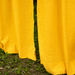 Solid Yellow Cotton Slub Curtain