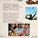 Blockprinting Workshop - Mumbai -August 22, 2026-House of Ekam