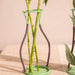 Green Silhouette Metal Line Vase-Vases-House of Ekam