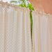 Off-White Buti Baag Cutwork Cotton Banaras Curtain-Curtains-House of Ekam