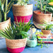 Pink Jute Planter Cum Storage Basket (S,M,L)-Planters-House of Ekam