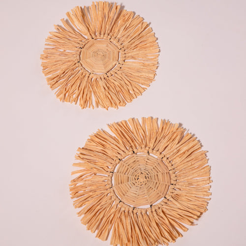 Raffia Flower and Leaf Wall Hanging Combo Set of 3-Wall Art-House of Ekam