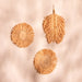 Raffia Flower and Leaf Wall Hanging Combo Set of 3-Wall Art-House of Ekam