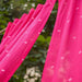 Rani Pink Neer Jamdani Cotton Handloom Curtain-Curtains-House of Ekam