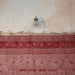 Red Pandu Machilipatnam Kalamkari Palampore Wall Art-Framed Wall Art-House of Ekam