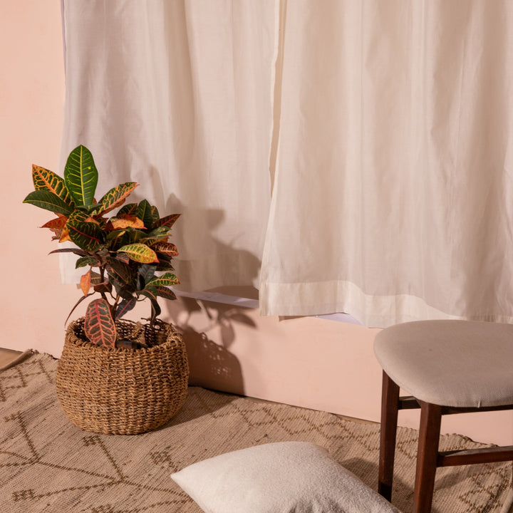 Solid White Cotton Silk Sheer Curtains-Curtains-House of Ekam