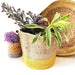 Yellow Jute Planter cum Storage Basket (S,M,L)-Planters-House of Ekam
