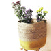 Yellow Jute Planter cum Storage Basket (S,M,L)-Planters-House of Ekam
