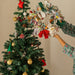 Zero Waste Christmas Wreath-Wreath-House of Ekam